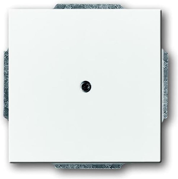 Busch-jaeger abb future solo bedieningselement centrale plaat schakelmateriaal - 2cka001710a3161 - e2eyd
