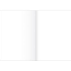 Juridisch papier staufen style 608469000 80 g m² pak van 250