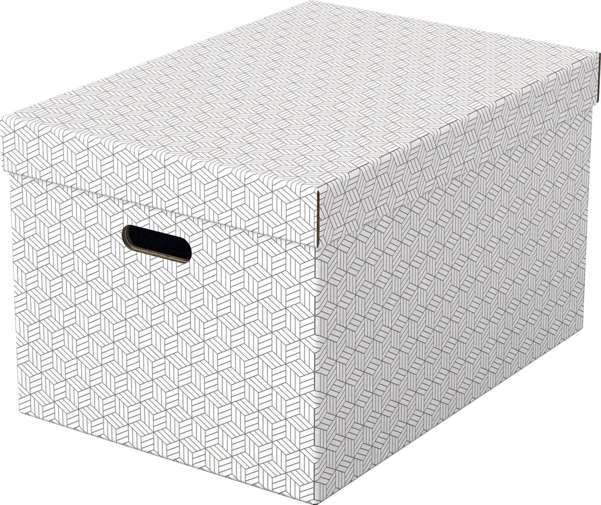 Esselte home duurzame grote opbergdoos met deksel - set van 3 stuks - 100% gerecycled karton en 100% recyclebaar - wit