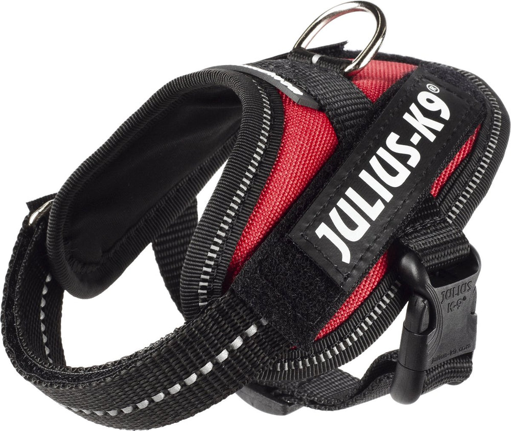 Julius k9 julius-k9 idc powertuig - 3xs - baby1 - rood