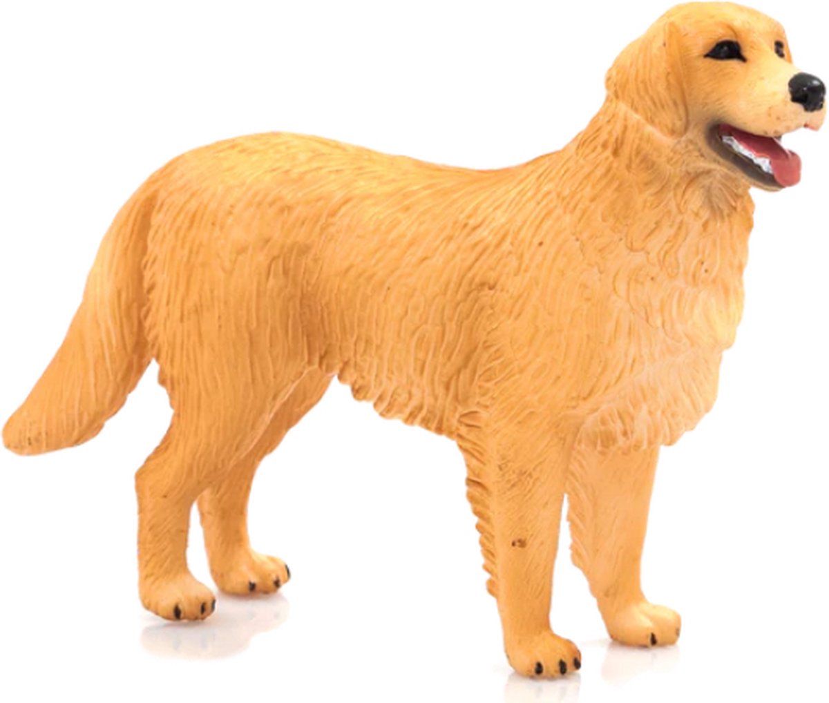 Mojo farmland golden retriever - 387198