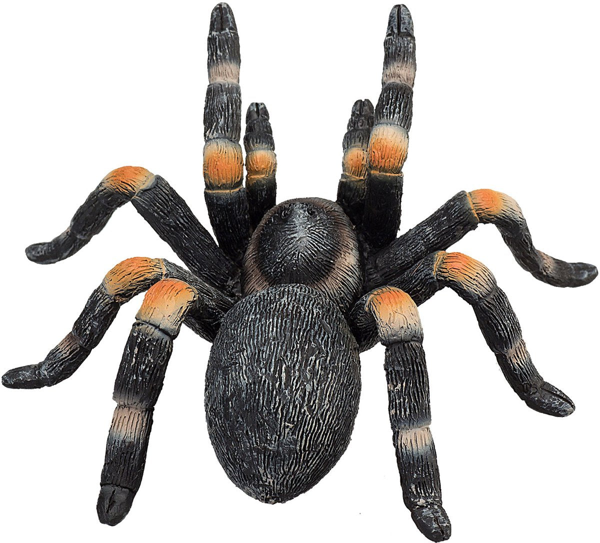 Mojo wildlife rode tarantula - 387213