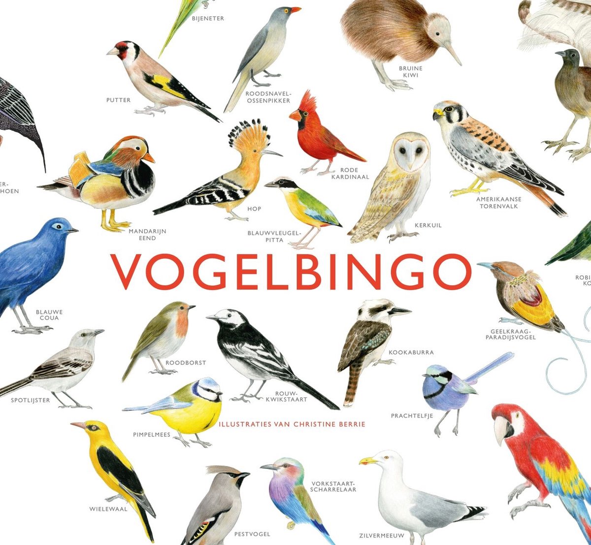 Kosmos vogelbingo