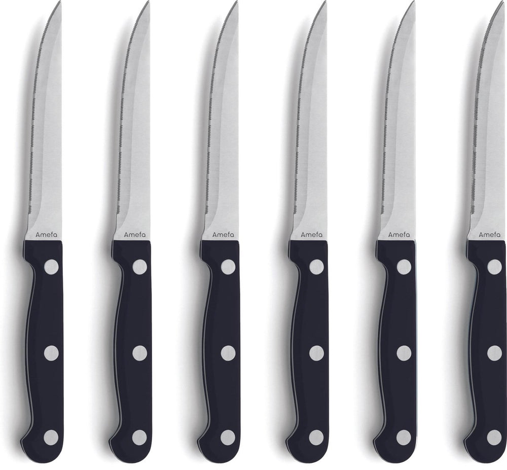 Amefa steakmessenset - 6-delig - 6 persoons - vaatwasserbestendig - vleesmes