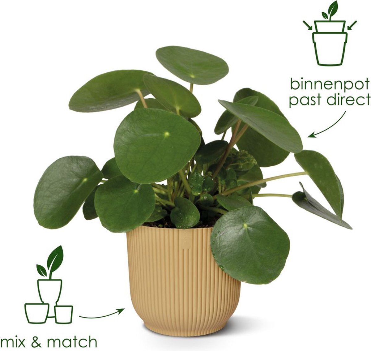 Elho vibes fold rond 18 - bloempot voor binnen - 100% gerecycled plastic - ø 18.4 x h 16.8 cm - delicaat roze