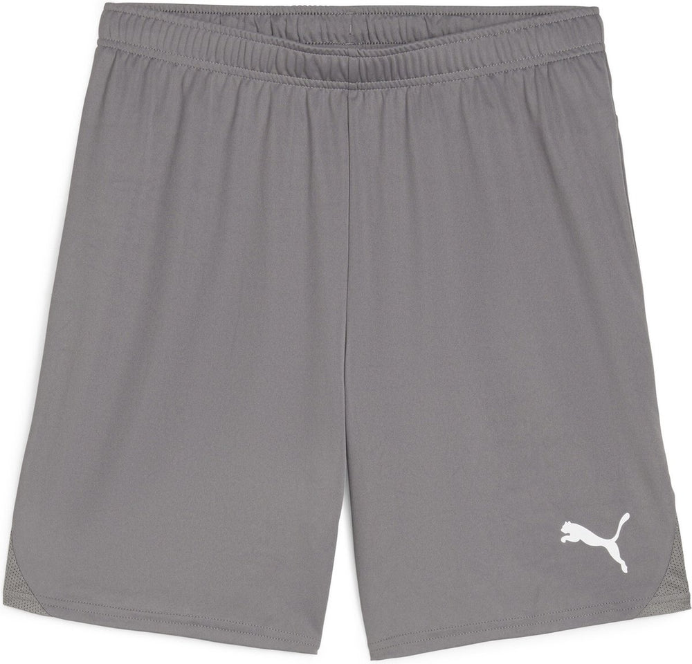 Puma teamgoal shorts heren sportbroek - cast iron- white