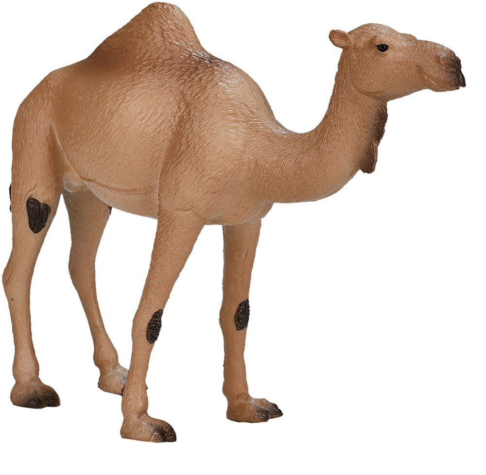 Mojo wildlife arabische kameel - 387113