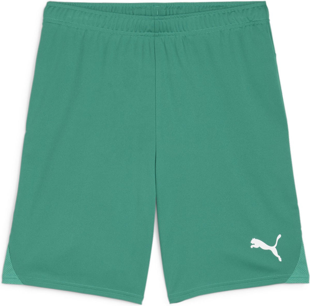 Puma teamgoal shorts heren sportbroek - sport green- white