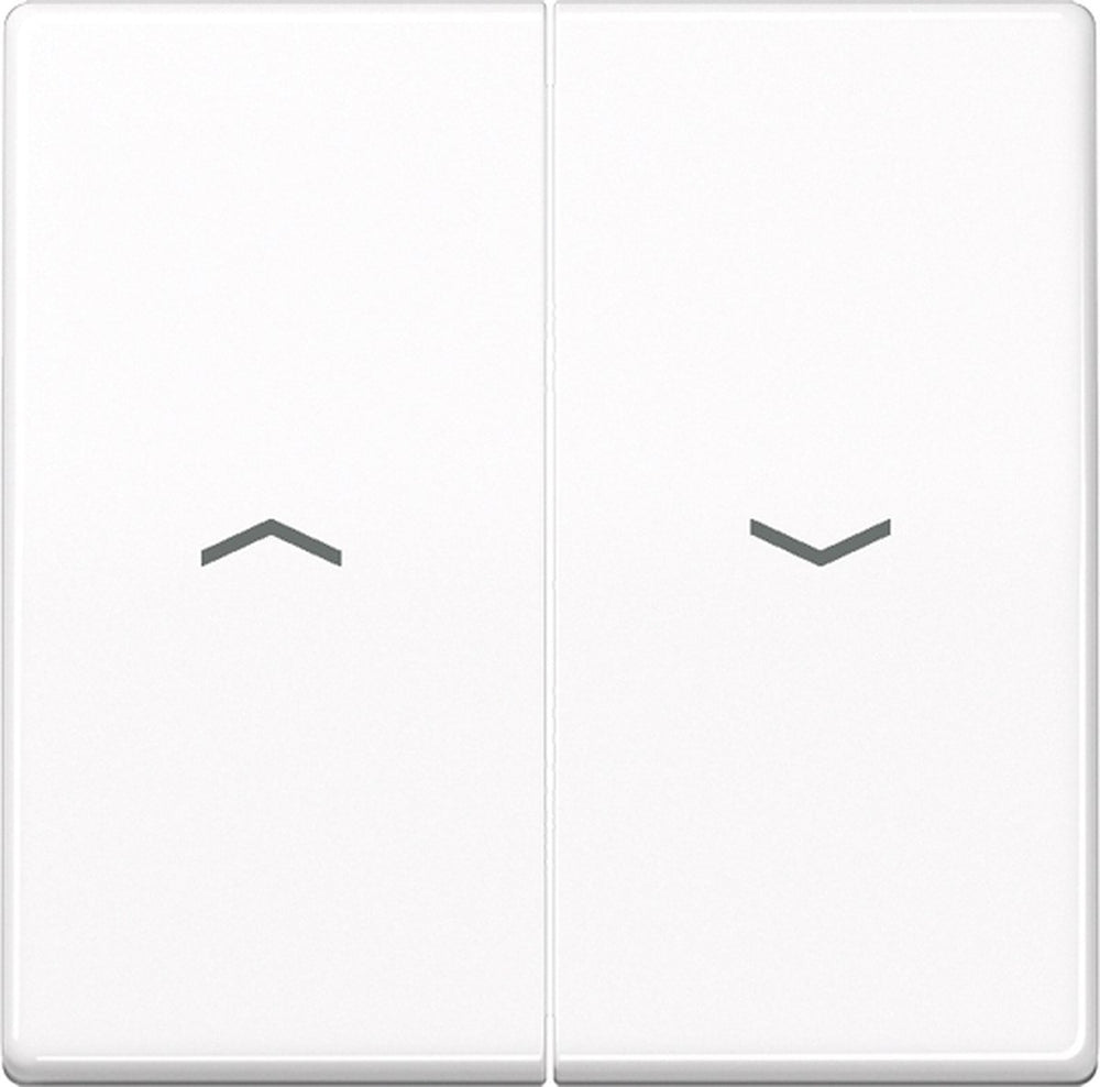 Jung as500 schakelelement centrale plaat - as591-5pww - e32r4