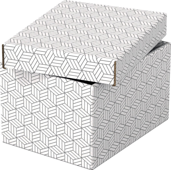 Esselte opbergdoos 628280 klein 7 l wit