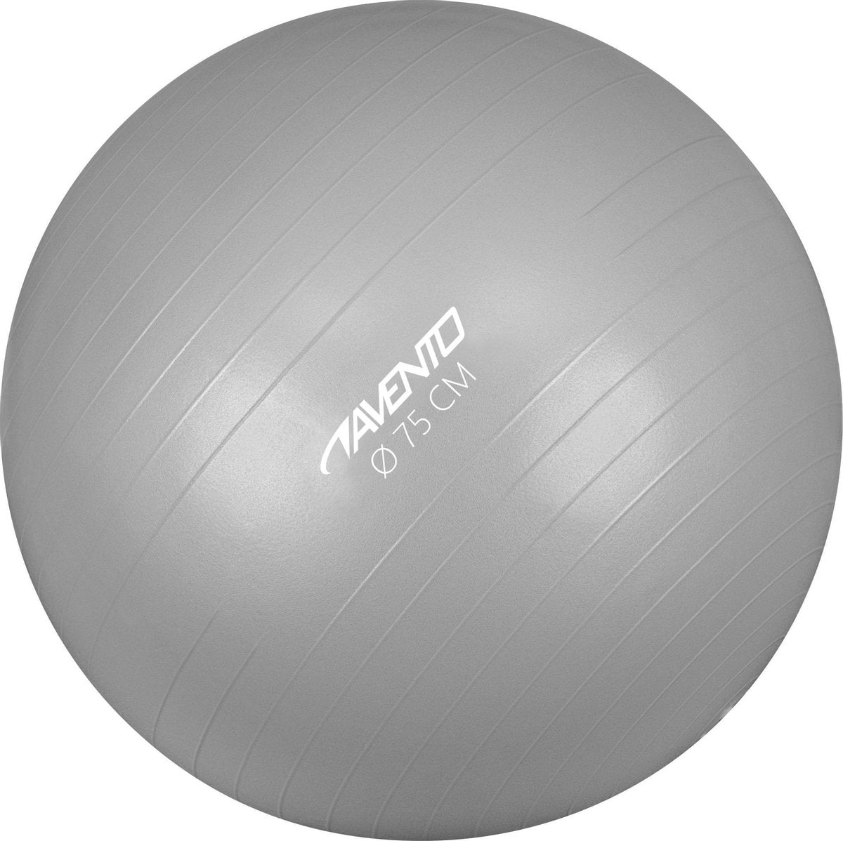 Avento fitnessbal -gymbal - ø 75 cm - zilver