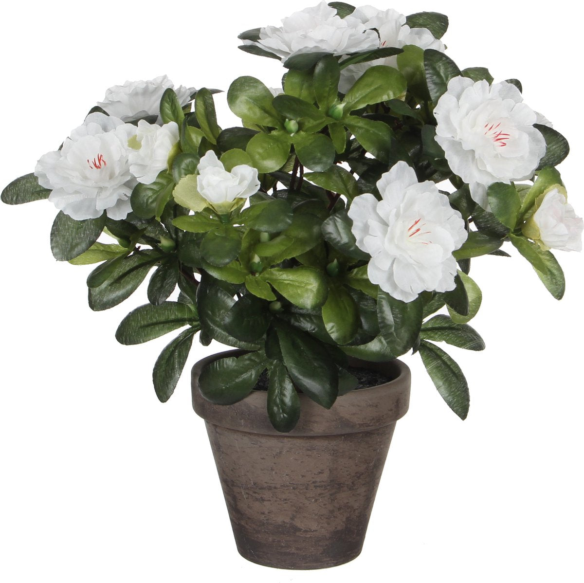 Mica decorations kunstplant - azalea - groen wit - 27 cm - met mooie bloemen
