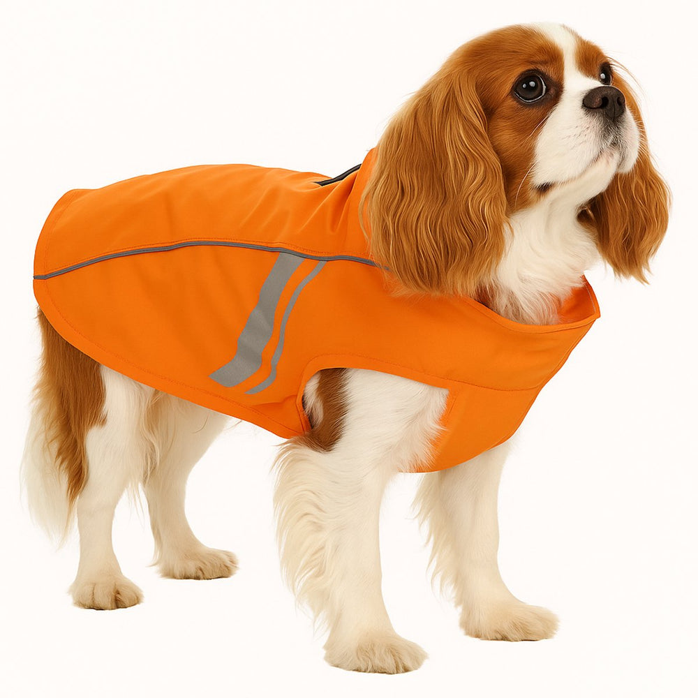 Flamingo hondenjas – regenjas hond – waterdichte hondenregenjas met reflectie – regenjas pomi oranje – 45 cm