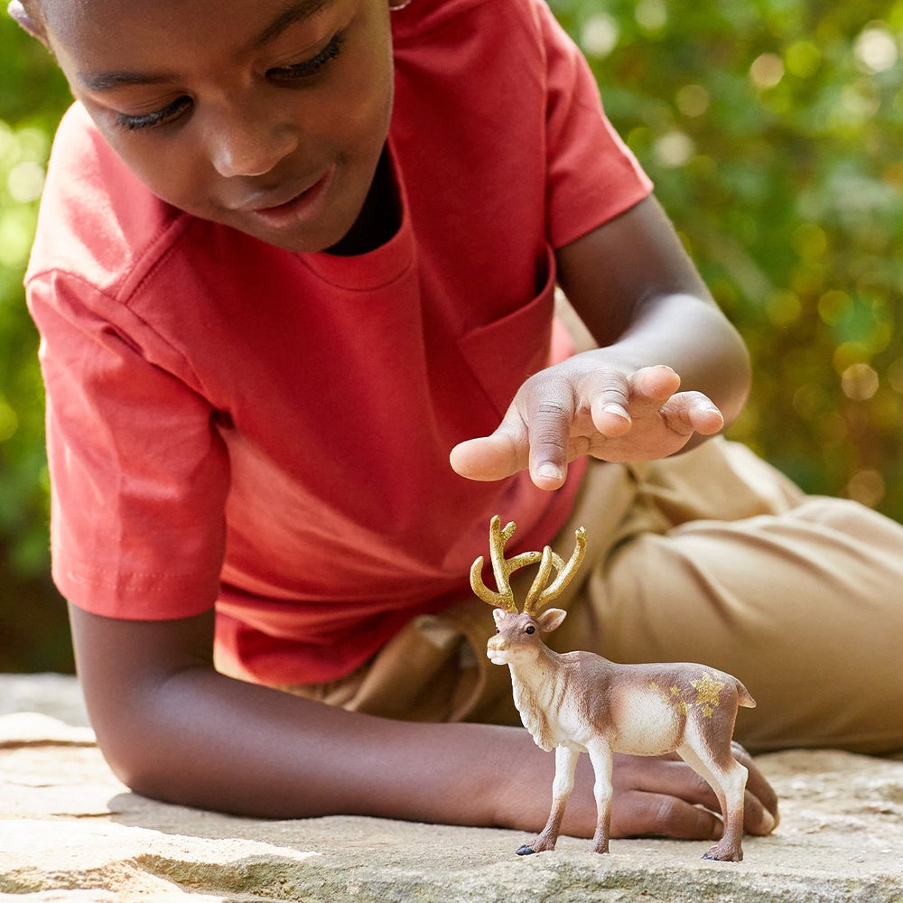 Schleich wild life - rendier - speelfiguur - kinderspeelgoed voor jongens en meisjes - 3 tot 8 jaar - 14837