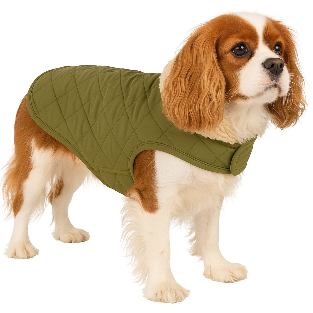 Flamingo hondenjas – bonnie – honden jas – hondenjasjes winter – hondenjas waterdicht – 40 cm – a:40cm b:34-40cm c:54-60cm – groen