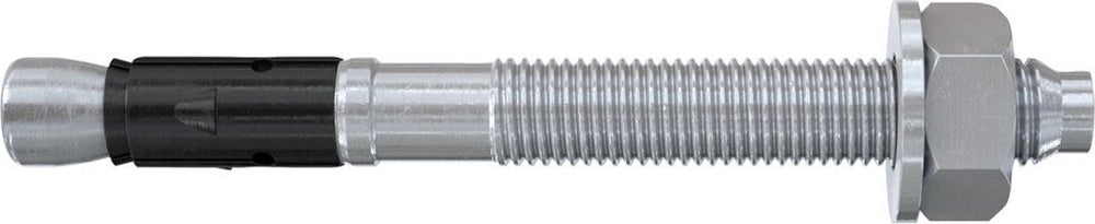 Fischer 564579 faz ii plus 10 10 boutanker 95 mm 10 mm 50 stuk(s)