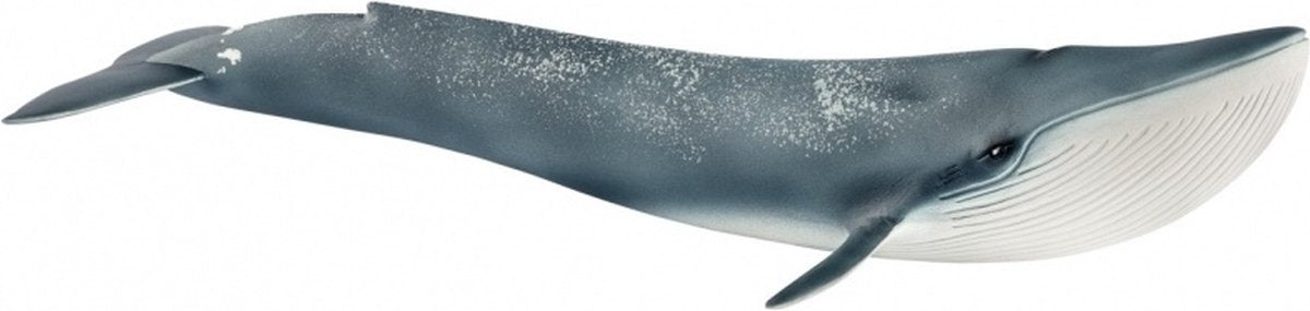 Schleich Wild Life - Blue Whale - Toy Figure - Kids' Toy for Boys and Girls - Ages 3-8 - 14806