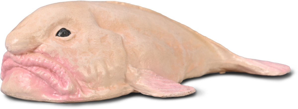 Collecta figurine - blobvis - (s) - zeedieren - handgeschilderd - miniatuur