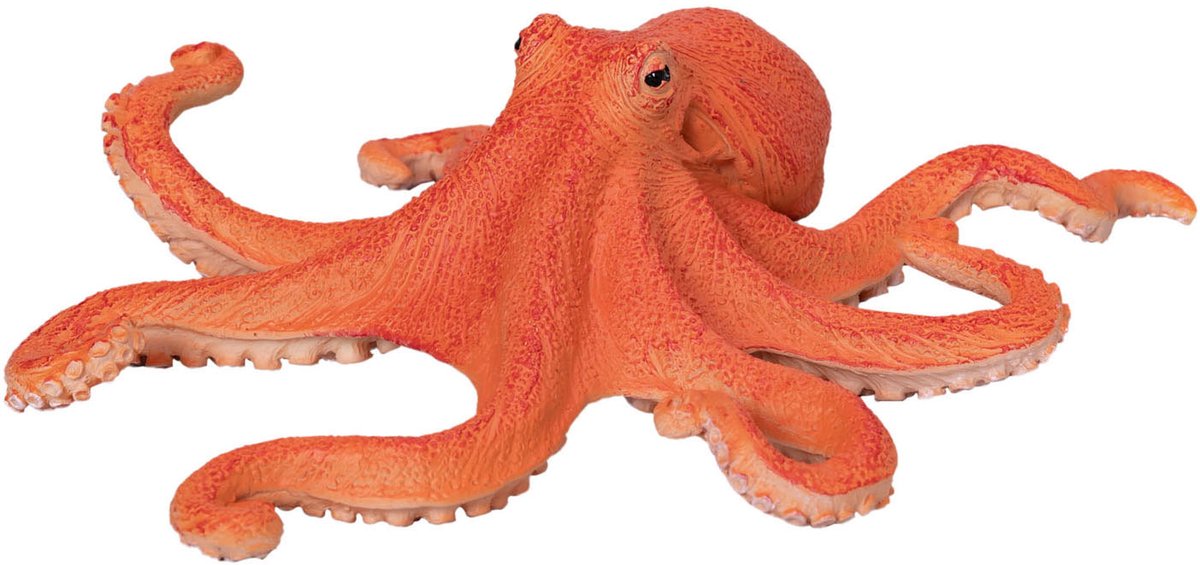 Mojo zee-octopus - 381036