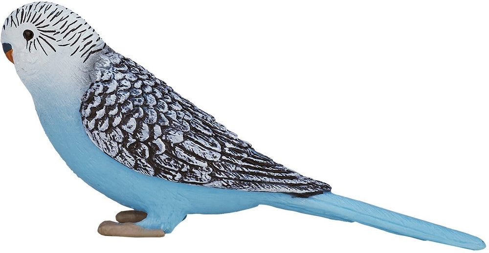 Mojo Landbouwgrond Grasparkiet Blauw 387292