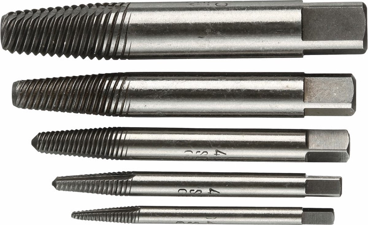 Gedore 2659336 schroefuitdraaierset