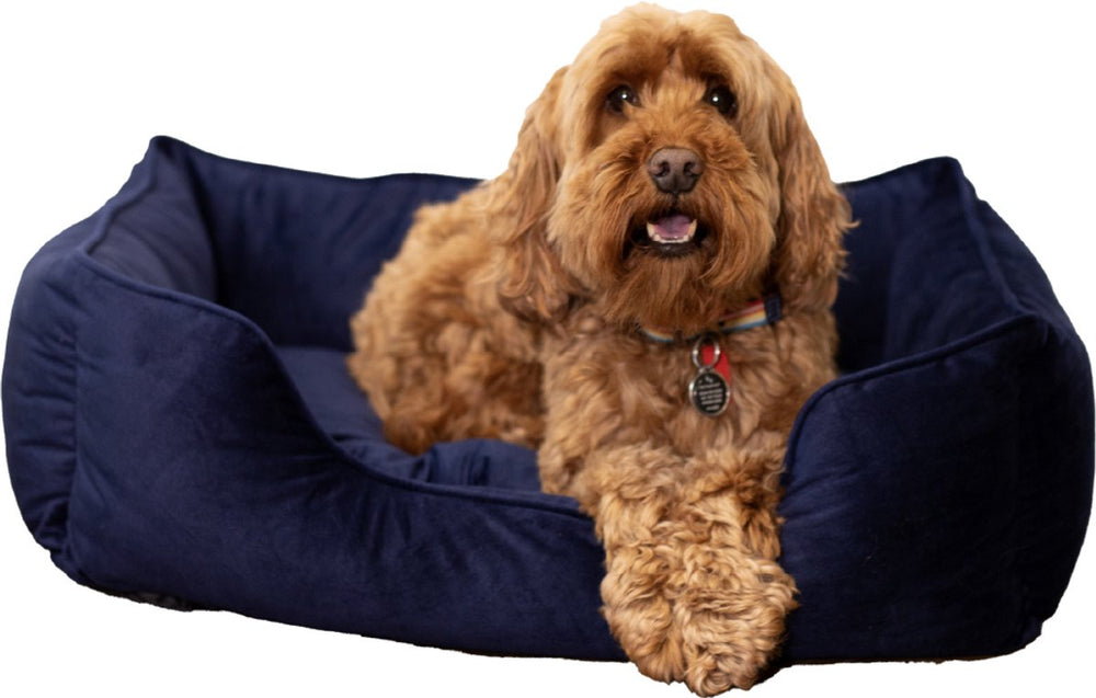 Rosewood luxe fluwelen hondenmand – small – zachte en comfortabele hondenmand – navy blauw – stijlvol ligbed voor honden en katten - 46 x 36 cm