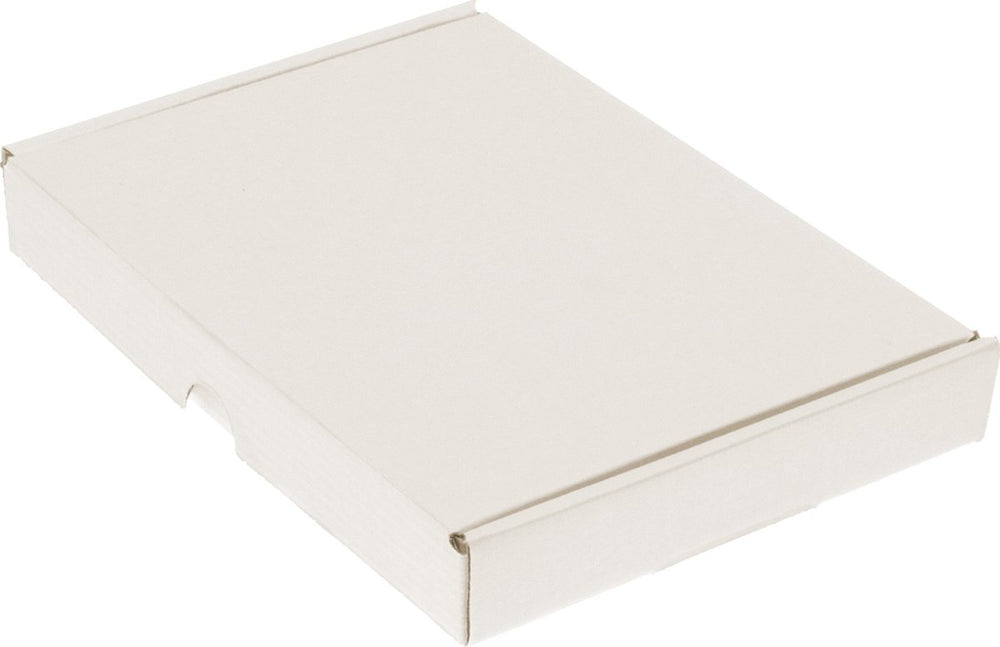 Raadhuis brievenbusdoos - 210x150x27mm - wit - 25 stuks - rd-351101-25