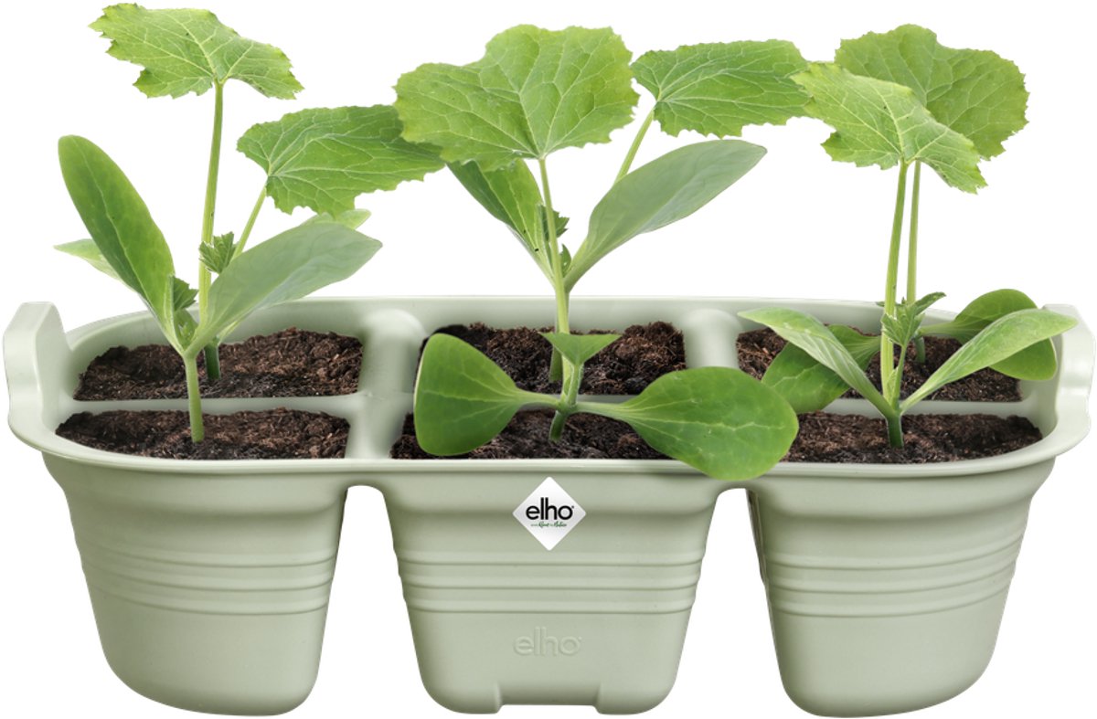 Elho green basics seed tray 22cm accessoire - steengroen