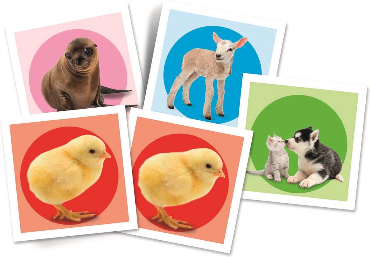 Clementoni memospel puppy's