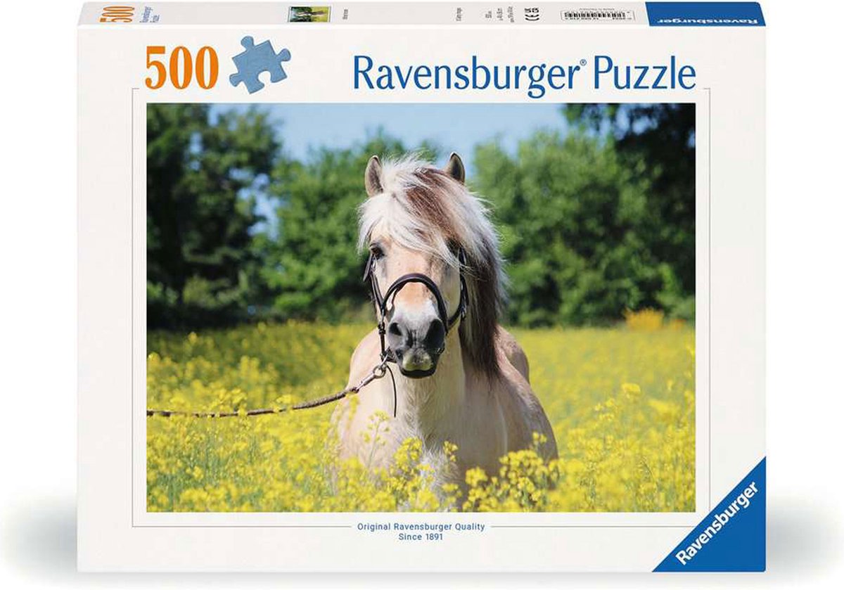 4005555002109