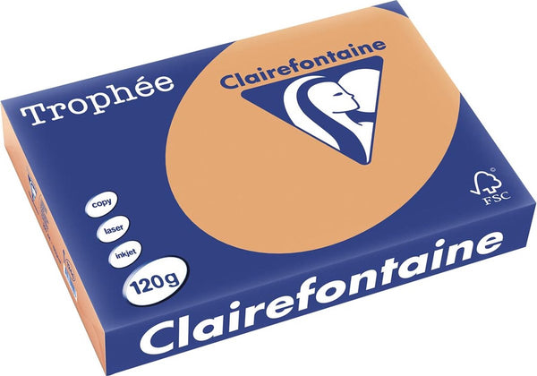 Clairefontaine trophée pastel, gekleurd papier, a4, 120 g, 250 vel, mokkabruin