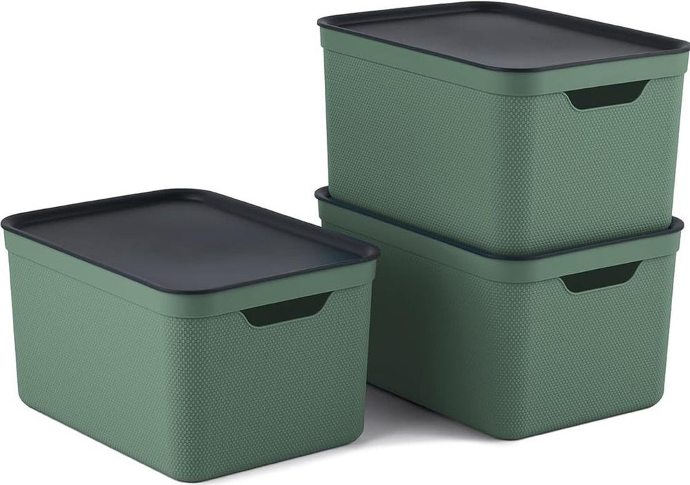 Rotho jive opbergboxen set van 3 opbergdozen 16 l met deksel, kunststof (pp gerecycled), groen antraciet, 3x16 (35 x 25 x 20 cm)