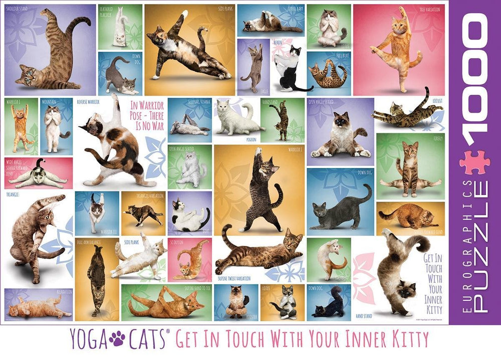 Eurographics - yoga katten [yoga cats] - 1000 stukjes 68×48cm (b×h) - legpuzzel