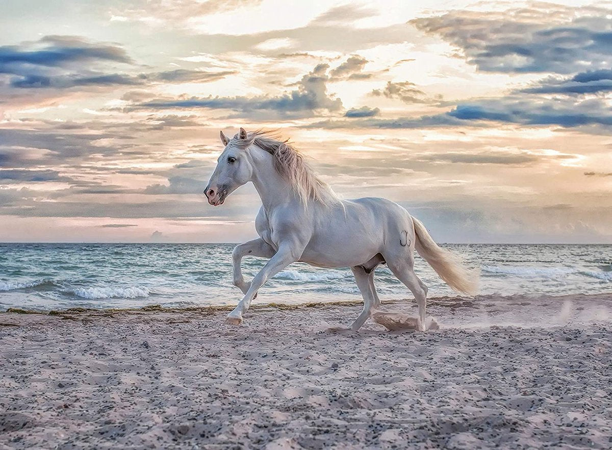 Ravensburger puzzel paard strand - 500 stukjes legpuzzel dieren.