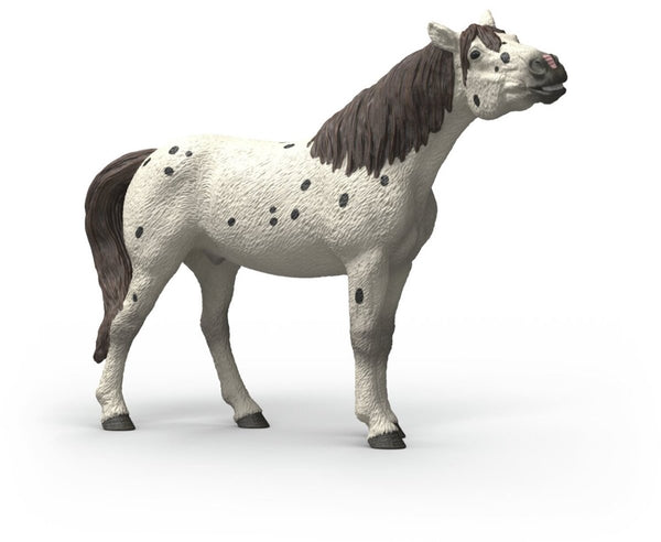 Schleich horse club speelgoedpaard knabstrupper ruin 14916.
