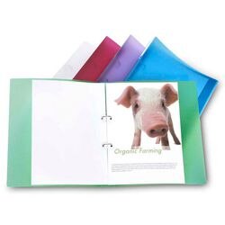 Ringband rapesco a4 10 stuks