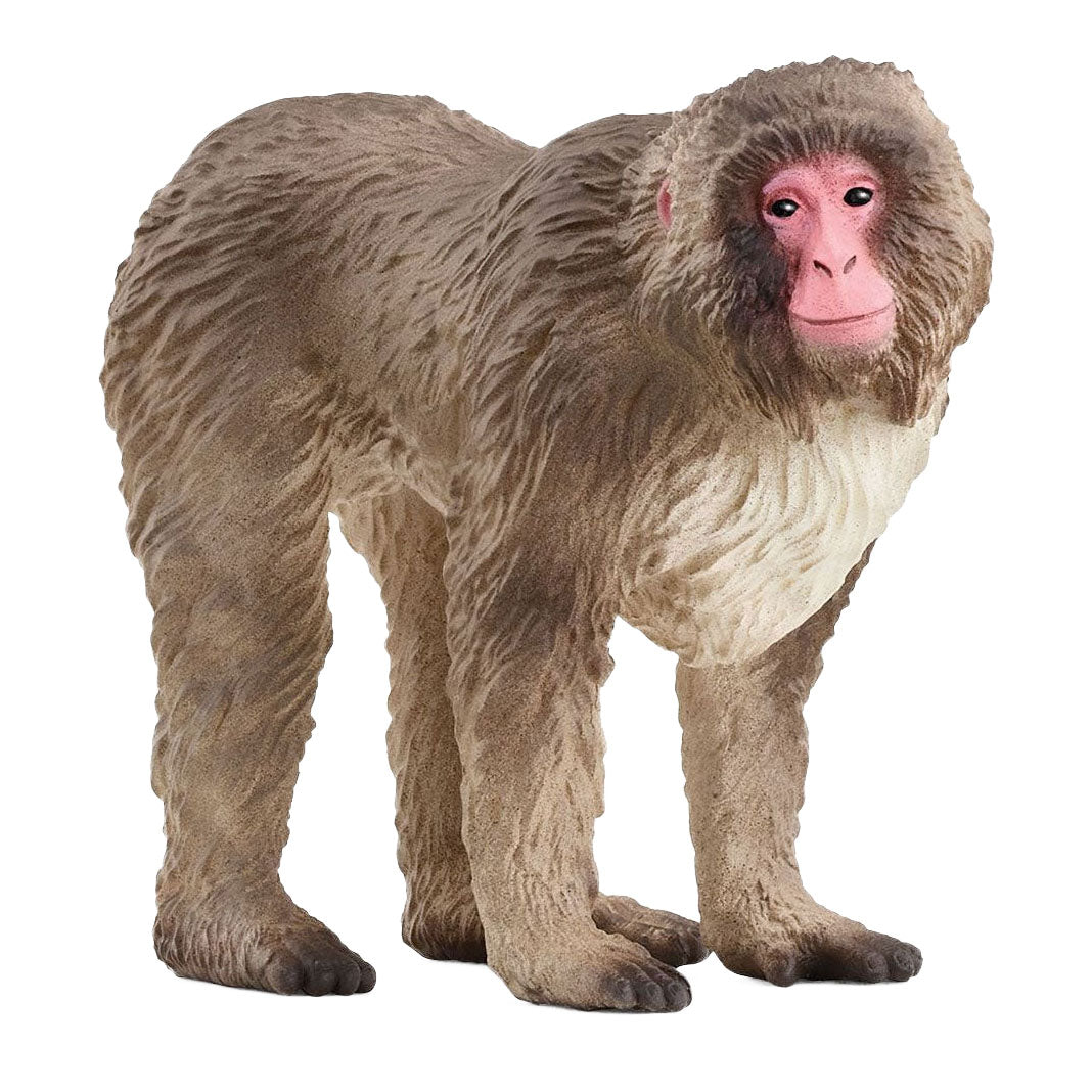 Schleich wild life Japanse makaak 14871