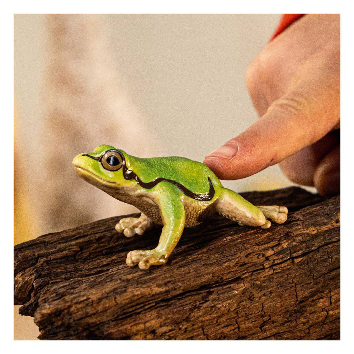 Schleich wild life - europese boomkikker - 14882
