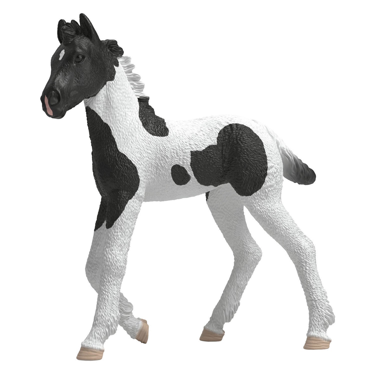 Schleich horse club verzamelbaar veulen rocky 81481