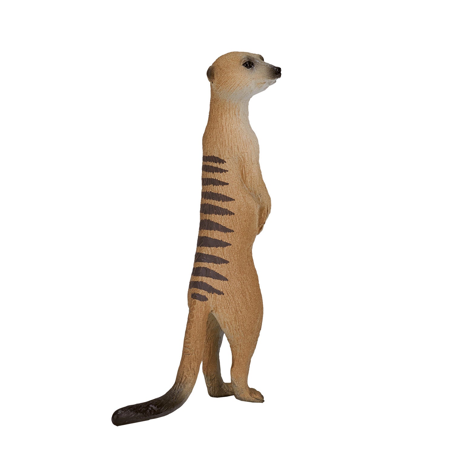 Mojo wildlife stokstaartje - 387125