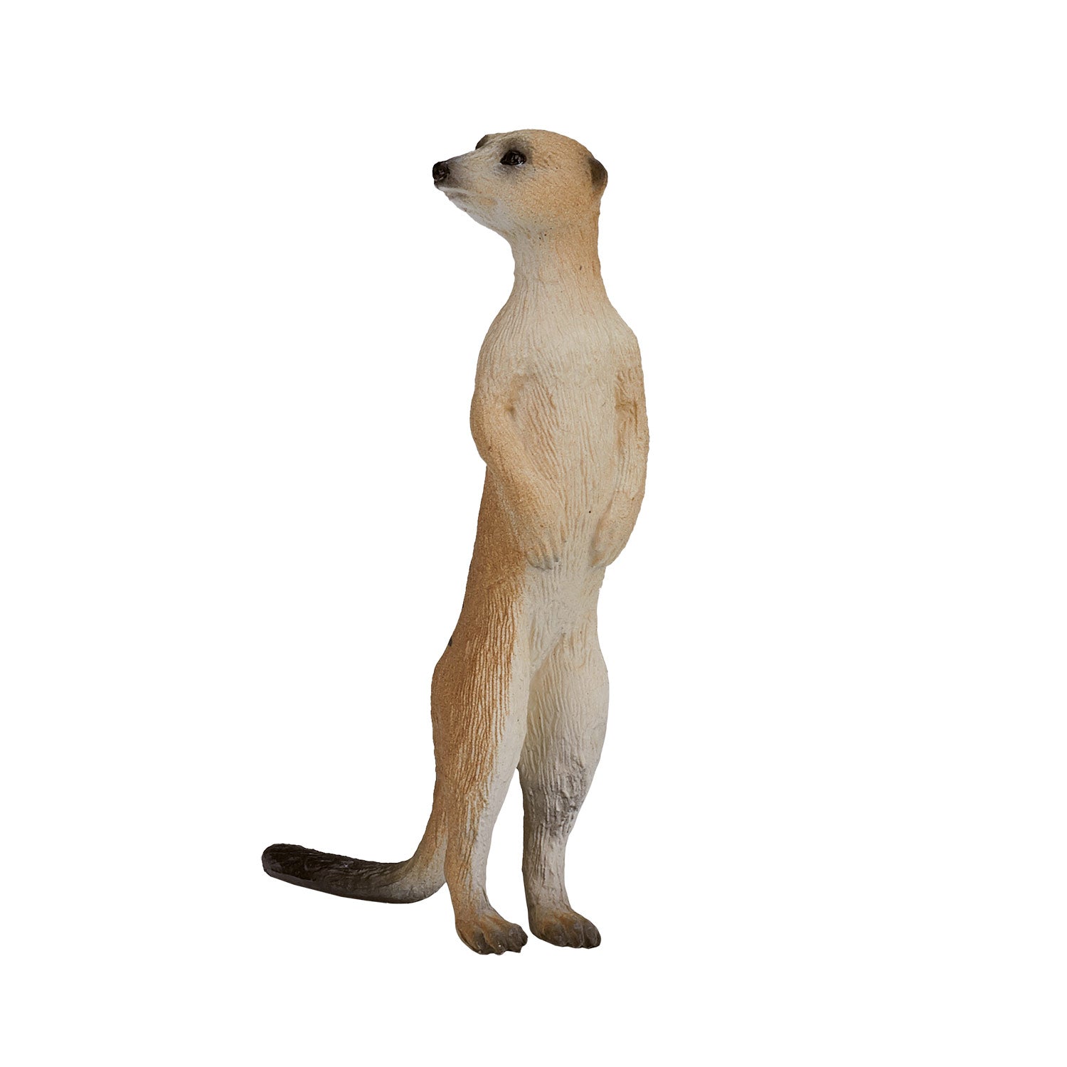 Mojo wildlife stokstaartje - 387125