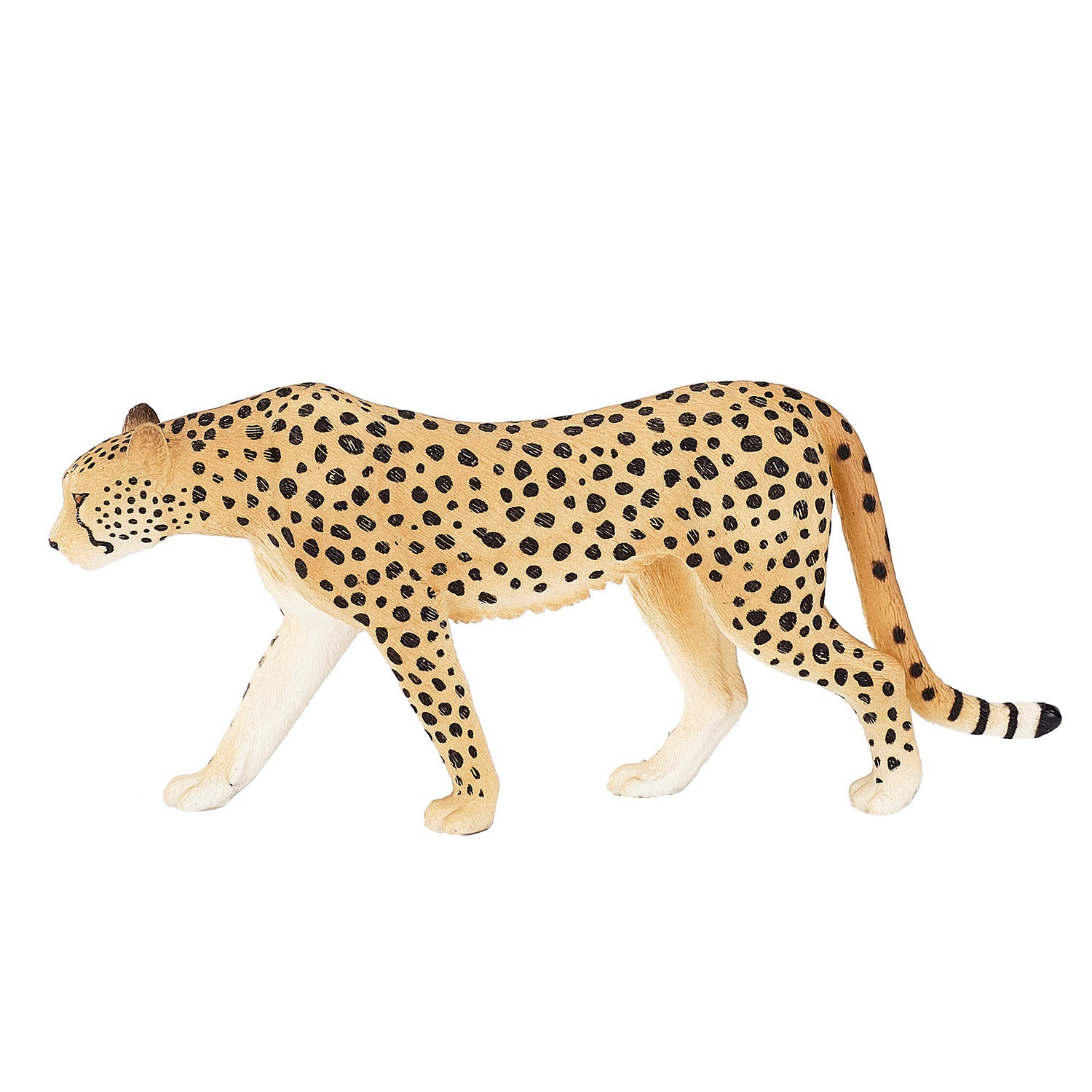 Mojo wildlife cheetah man - 387197