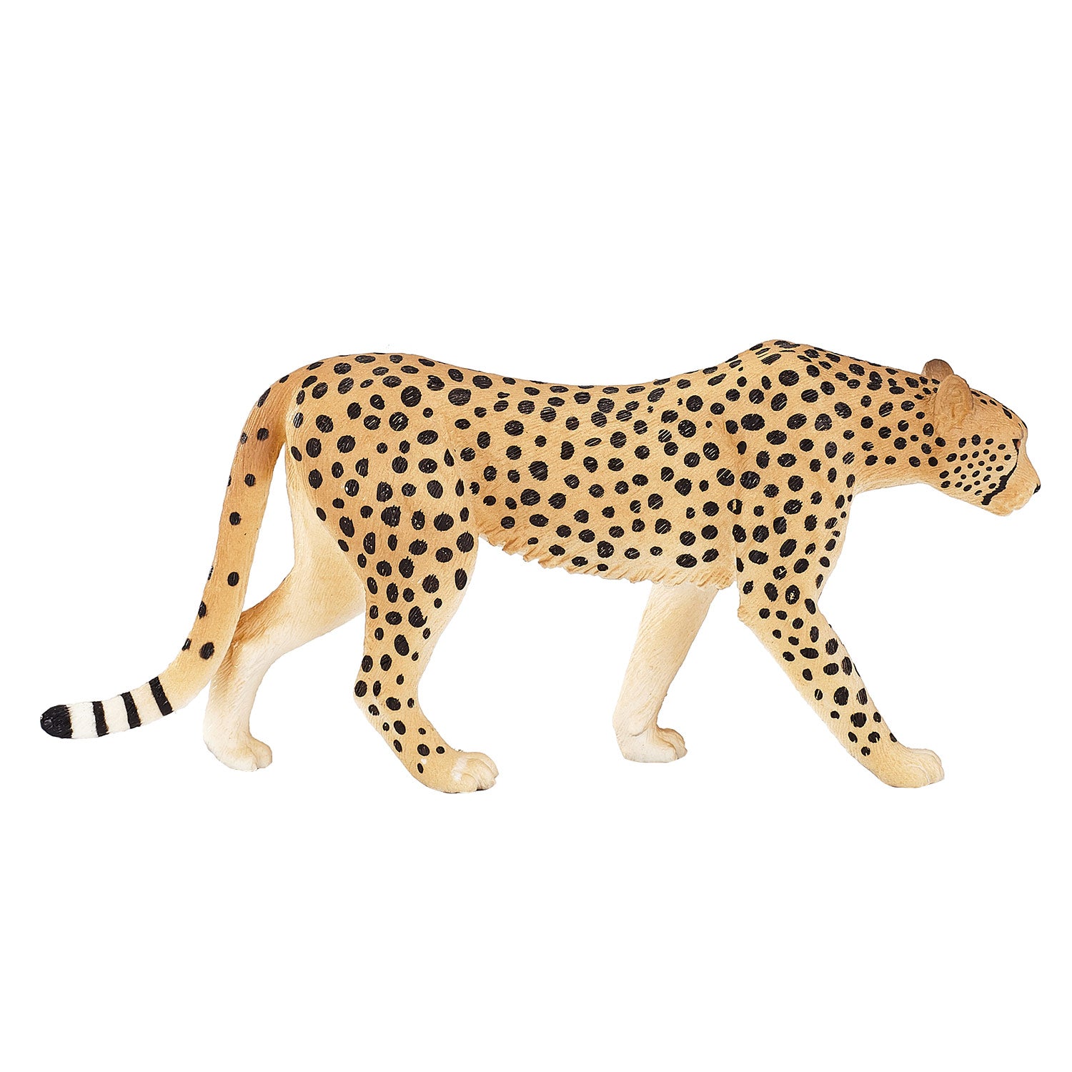 Mojo wildlife cheetah man - 387197