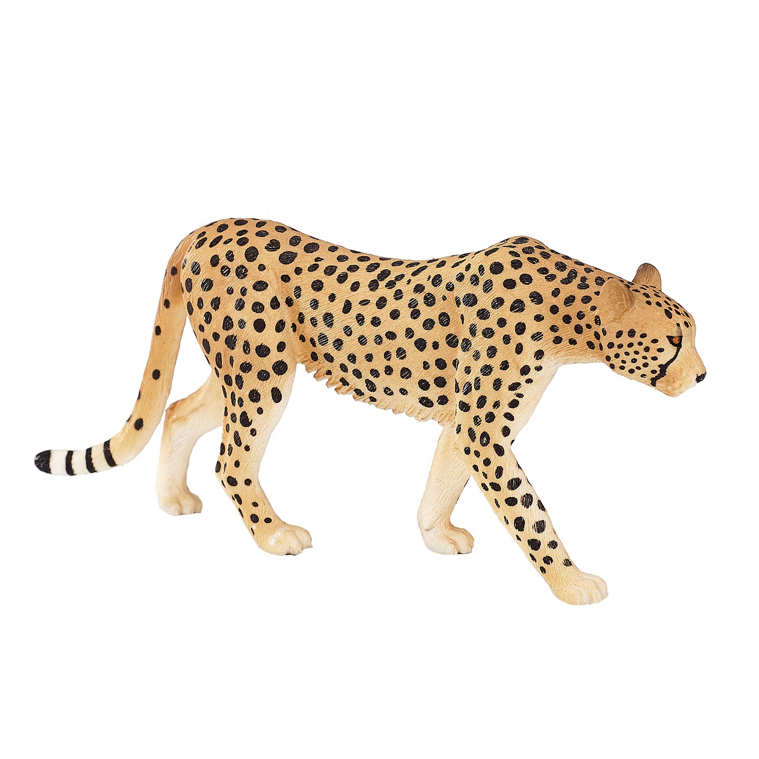 Mojo wildlife cheetah man - 387197