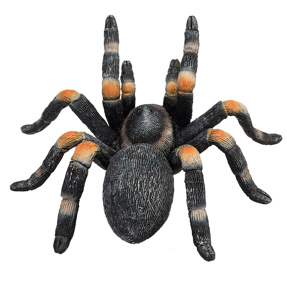 Mojo wildlife rode tarantula - 387213
