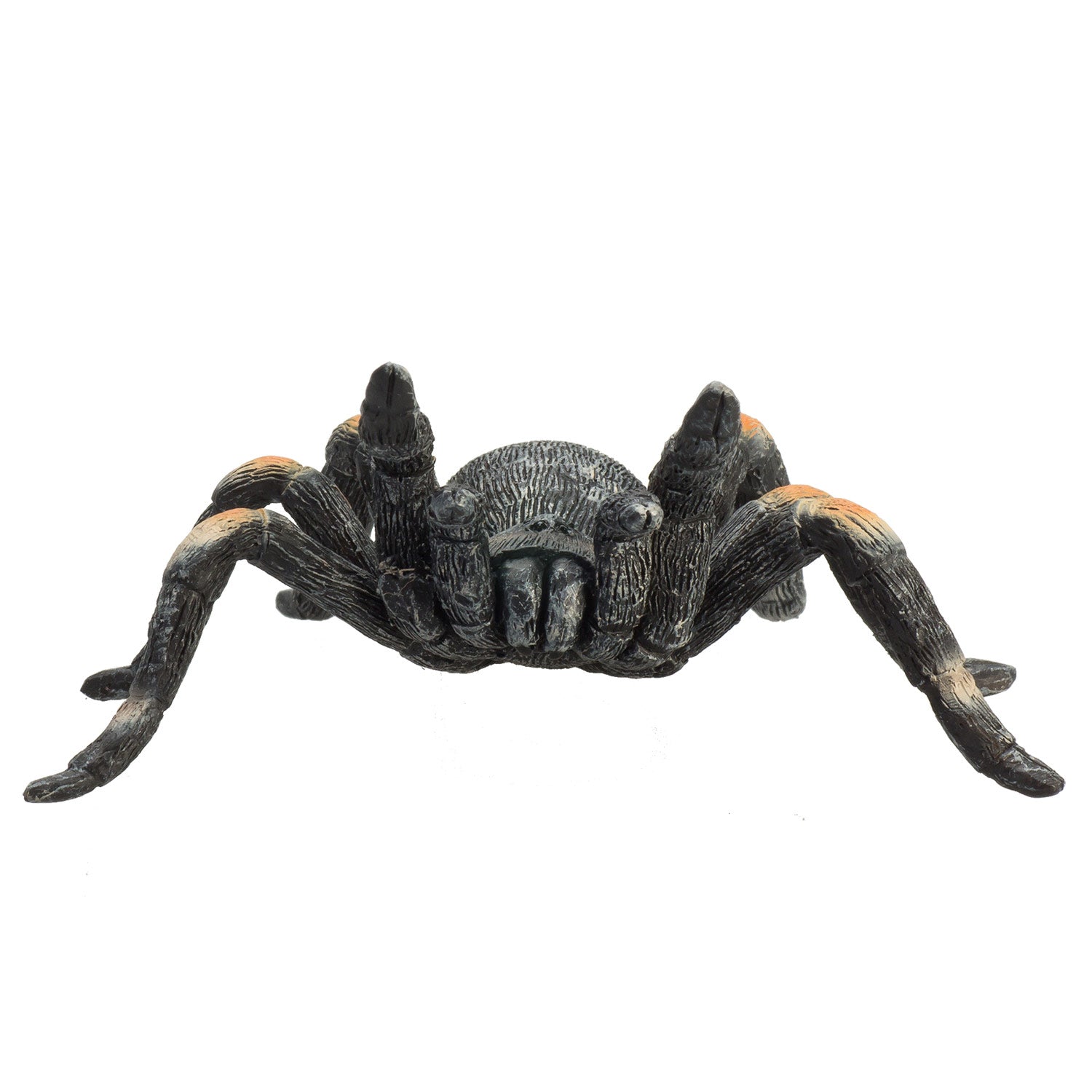 Mojo wildlife rode tarantula - 387213