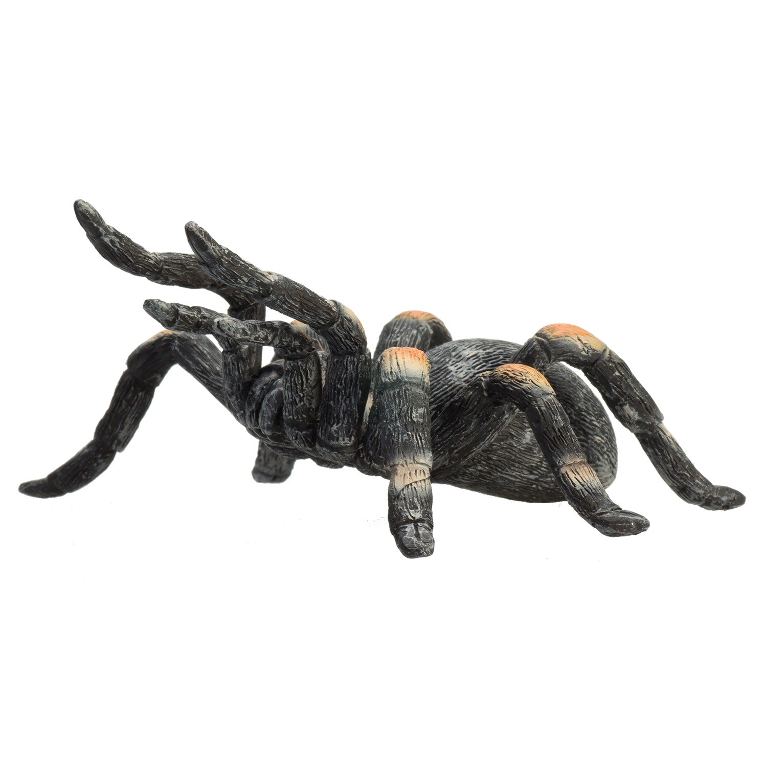 Mojo wildlife rode tarantula - 387213