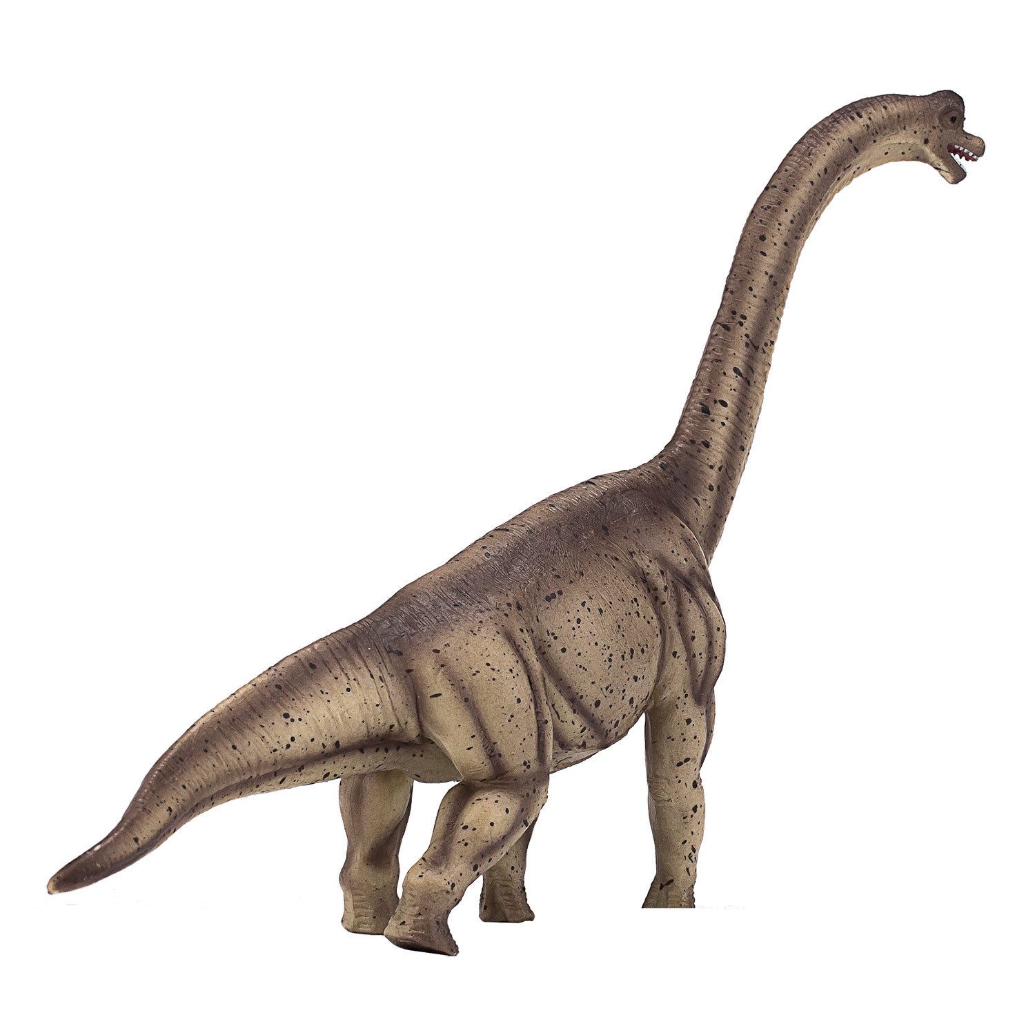 Mojo prehistorie deluxe brachiosaurus - 387381