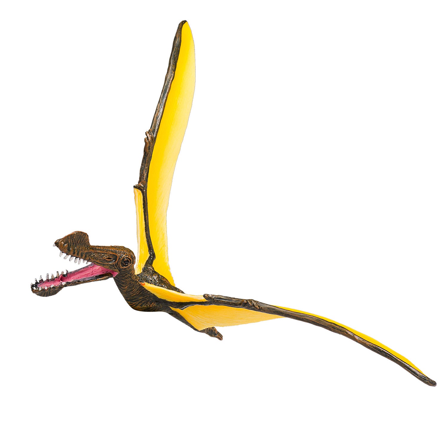 Mojo Prehistorie Tropeognathus 387.375