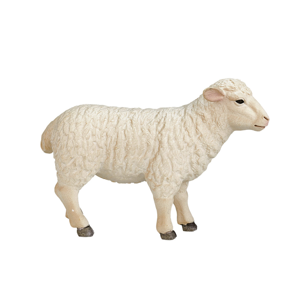 Mojo Landbouwgrond Schaap Ooi - 387096